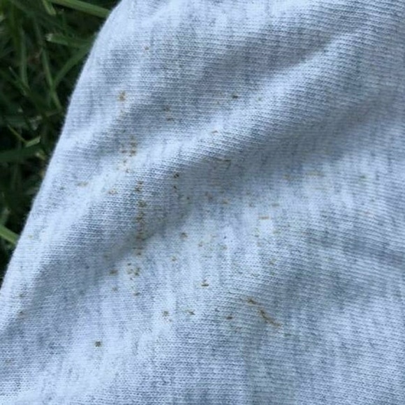 1998 Mark McGuire home run record t - Picture 5 of 5